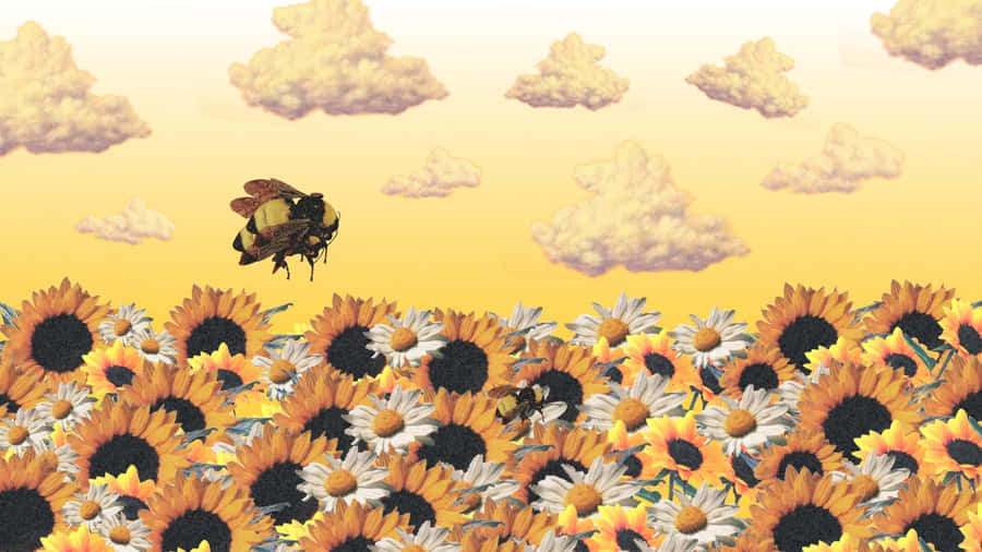 Flower Boy Among Sunflowers Wallpaper