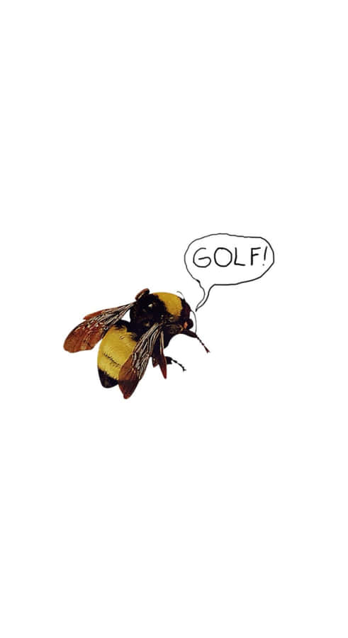 Flower Boy Bee Illustration Wallpaper