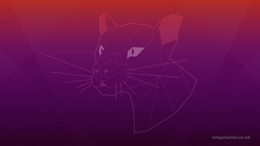 Focal Fossa Of Ubuntu Wallpaper