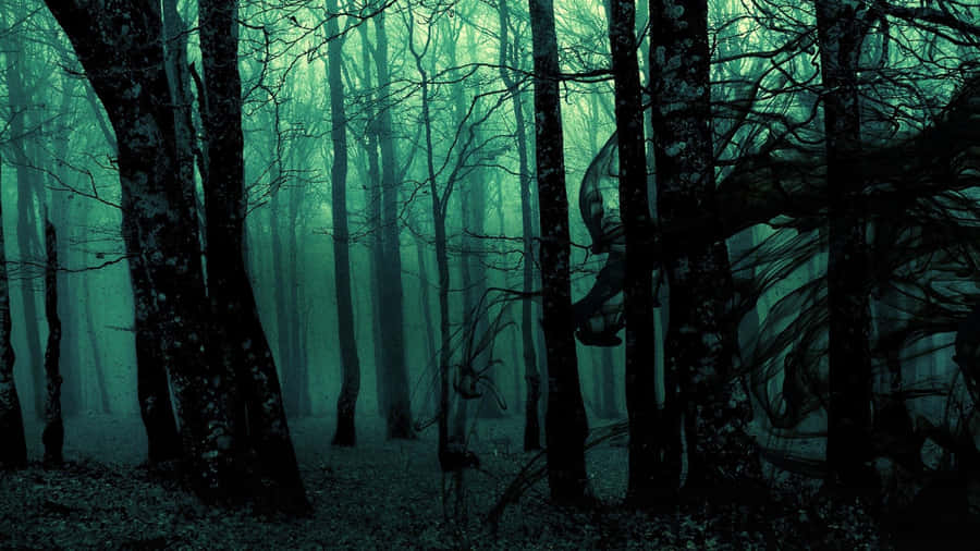 Foggy Aesthetic Green Aesthetic Forest Wallpaper