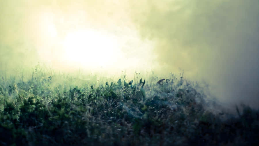 Foggy Morning Depth Effect Wallpaper