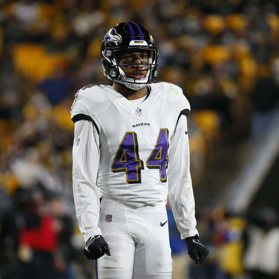Football Player Number44 Ravens Jersey Wallpaper