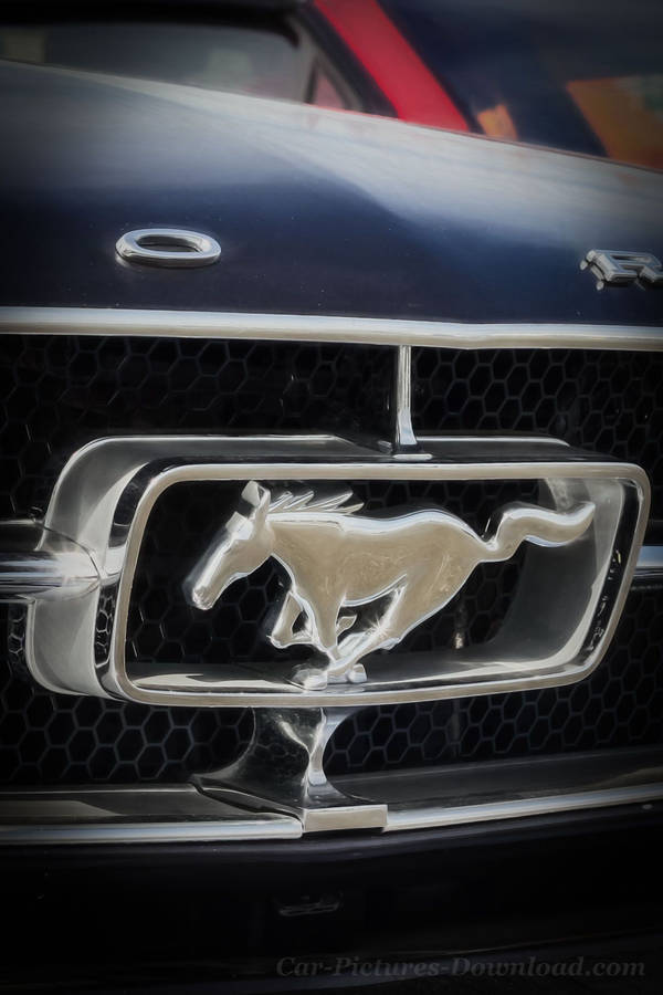 Ford Iphone Car Logo Wallpaper