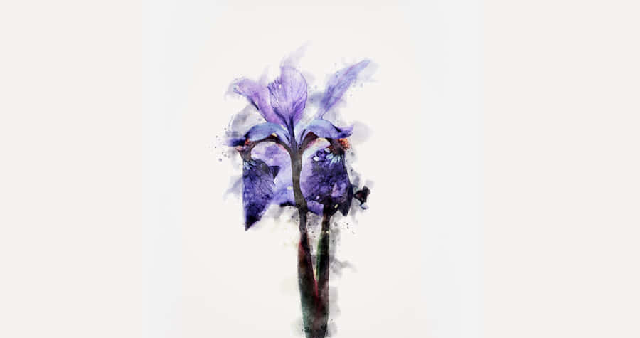 Forest Sunset Wallpaper