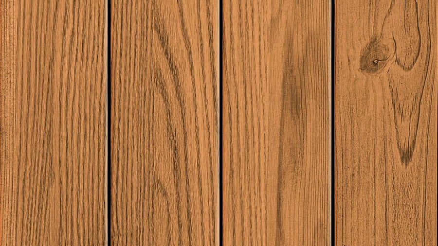 Forest Sunset Landscape Wallpaper