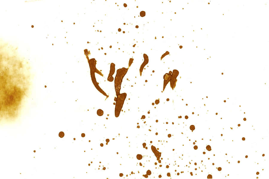 Fortuitous Sprinkle Stains Wallpaper