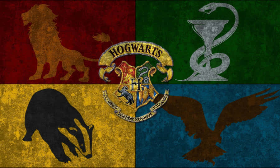 Four Houses, One Hogwarts