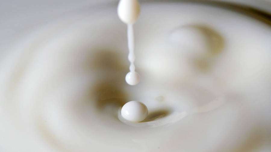 Fresh Milk Splashing With Ripples Effect Wallpaper