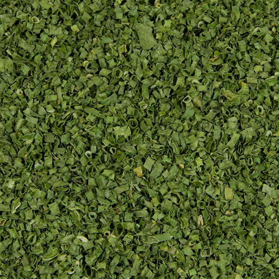 Freshly Dried Green Chives Wallpaper