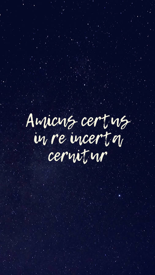 Friends Wisdom Inscription Wallpaper