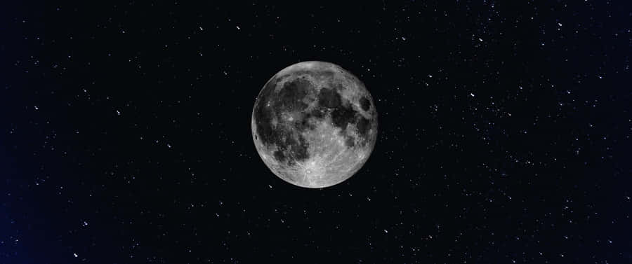 Full Moon Starry Sky Wallpaper