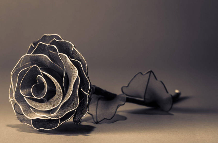 Full Screen Hd Black Rose Wallpaper