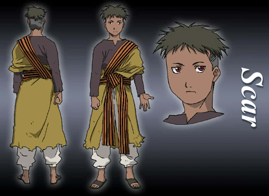 Fullmetal Alchemist's Scar In Action Wallpaper