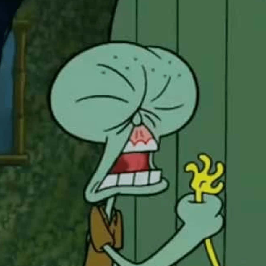 Funny Pfp For Tiktok Of Squidward Wallpaper