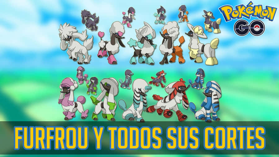 Furfrou Forms Pokemon G O Wallpaper