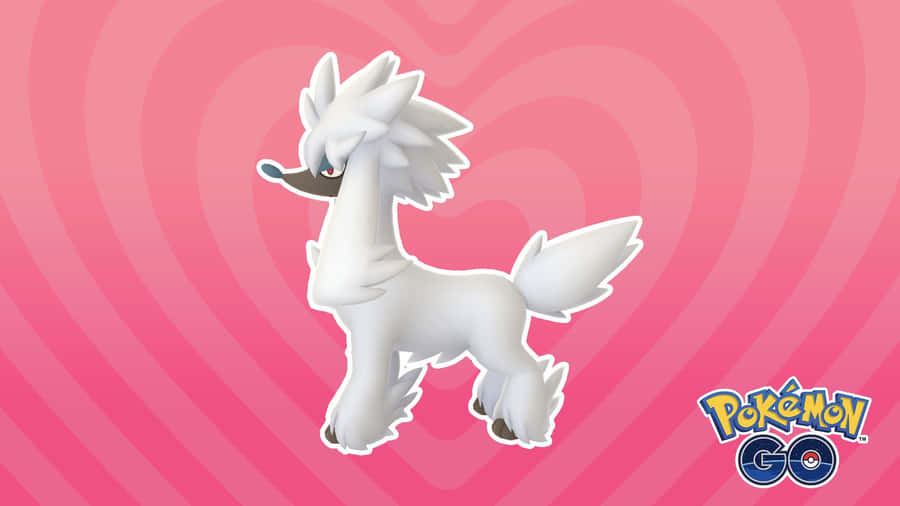 Furfrou Pokemon G O Promotional Artwork Wallpaper