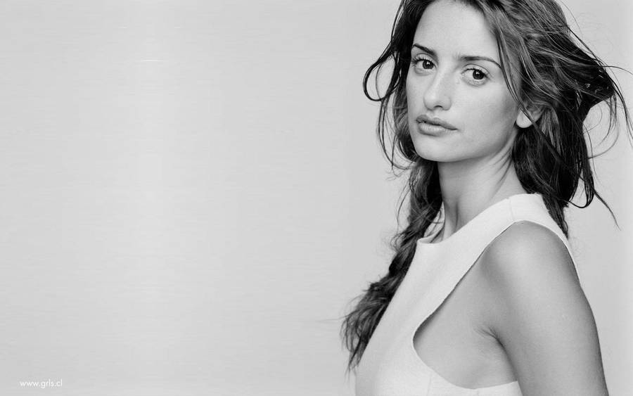Gazing Penelope Cruz Wallpaper