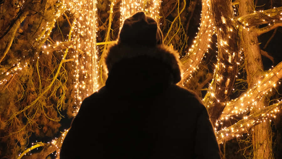 Generous Number Of Lights Wallpaper