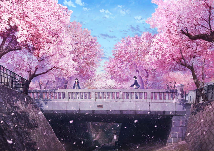 Get A Taste Of The Far East With Sakura Pc Wallpaper