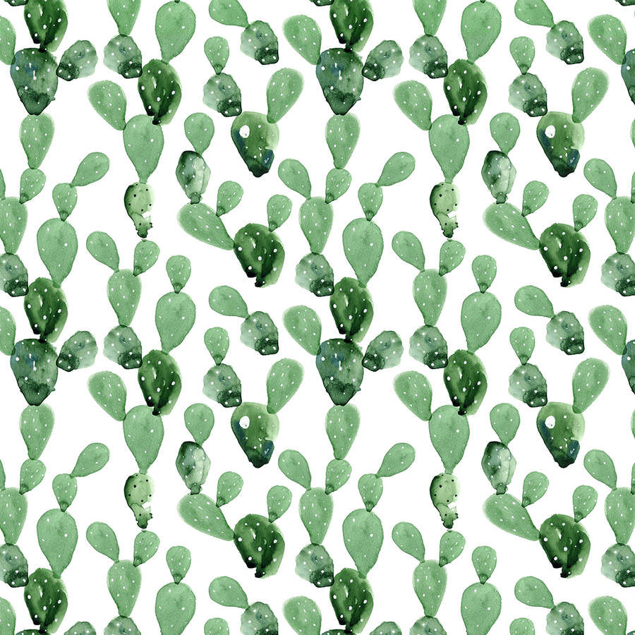 Get Creative With Cactus Wallpaper