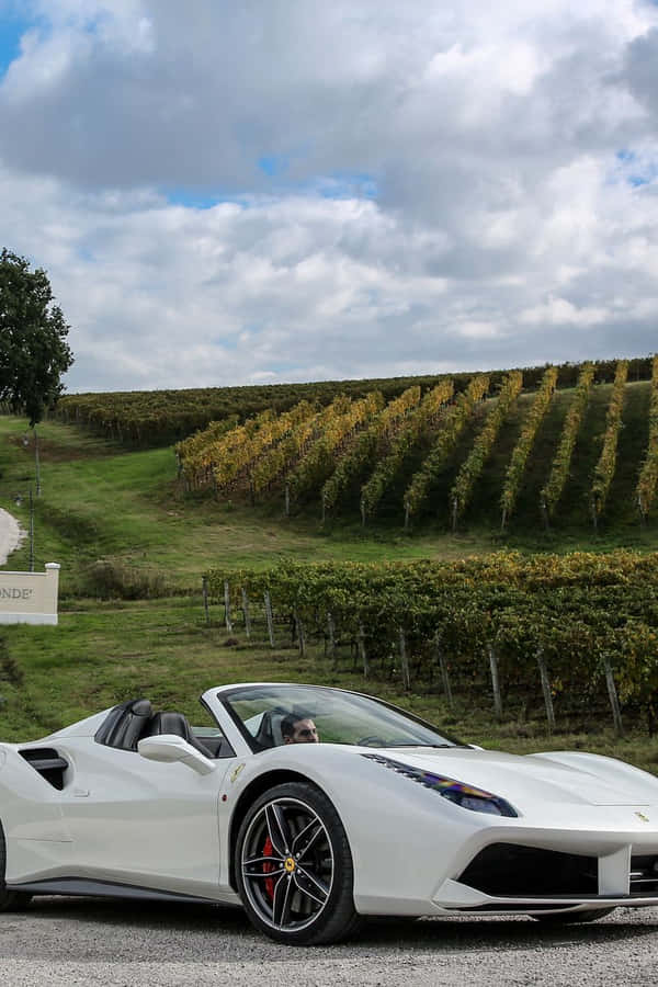 Get Ready To Speed Away With A White Ferrari Iphone Wallpaper