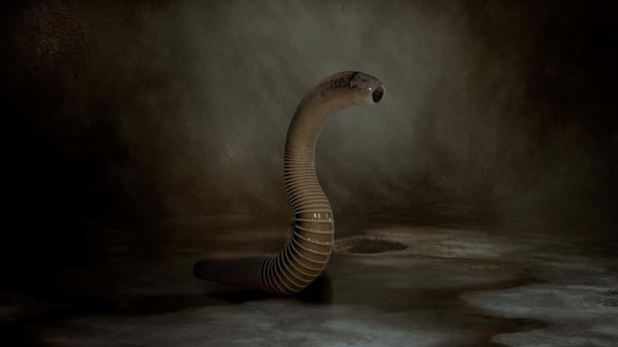 Giant Leech Artistic Representation Wallpaper