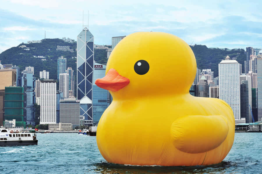 Giant Rubber Duckin Harbor Wallpaper
