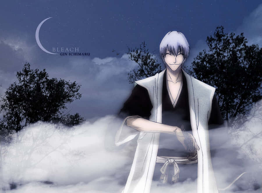 Gin Ichimaru, Character From The Anime Series, Bleach Wallpaper