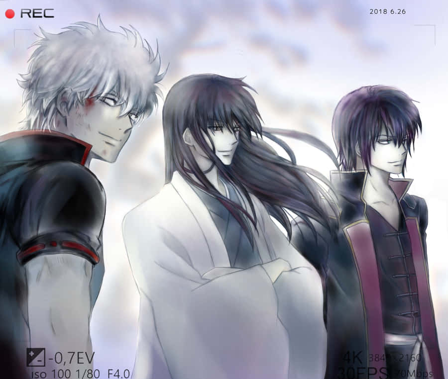Gintama Trio Captured Moment Wallpaper