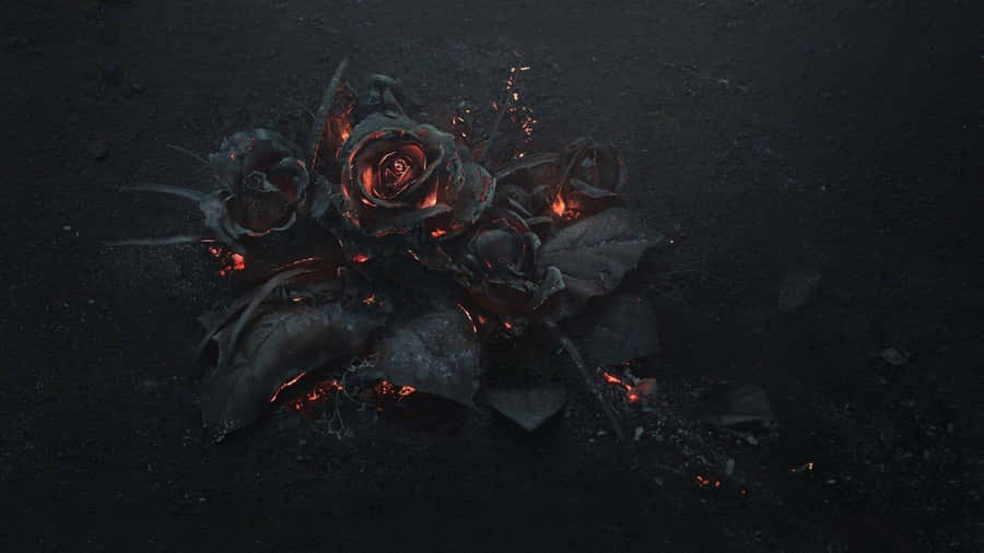 Glowing Embers Roses Dark Background Wallpaper