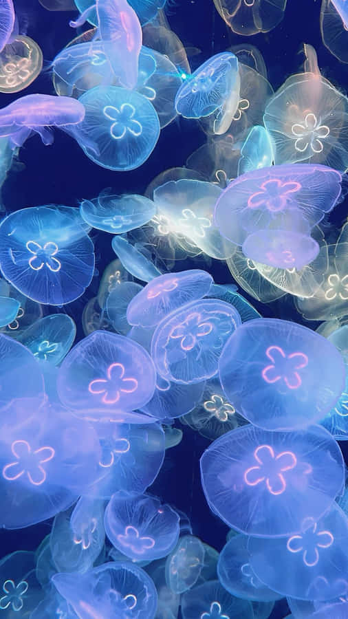 Glowing Jellyfish In Ocean Wallpaper