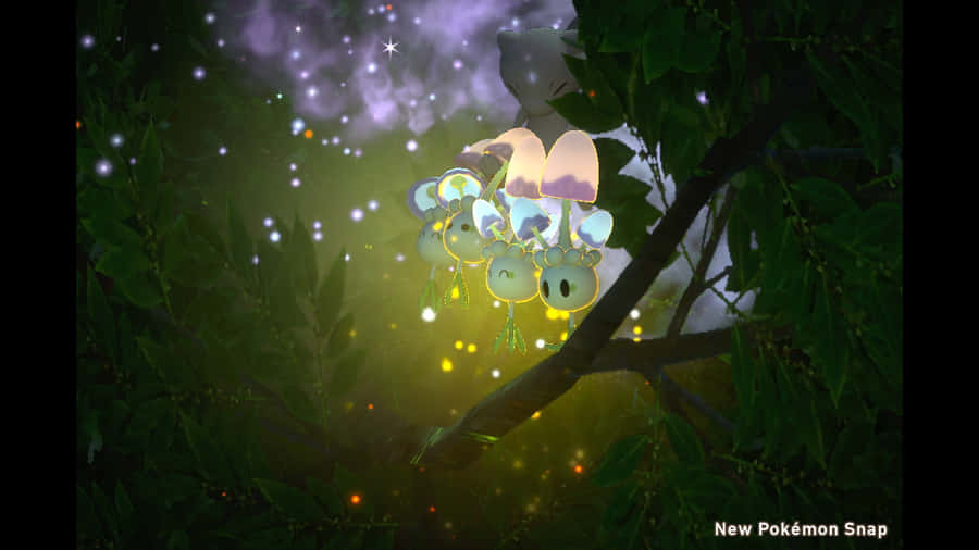 Glowing Morelull Dark Forest Hd Wallpaper