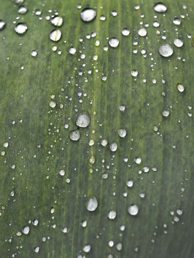 Glowing Stars In A Night Sky Wallpaper