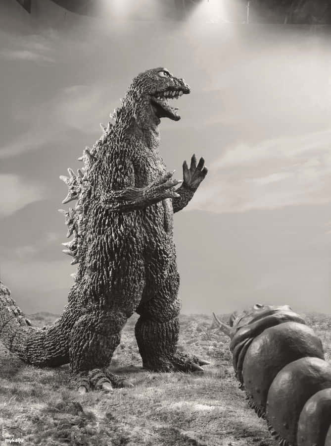 Godzilla And Mothra Face Off In An Epic Battle Wallpaper