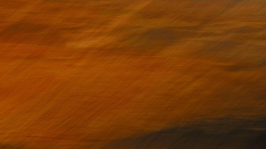 Golden Brown Paint Texture Wallpaper