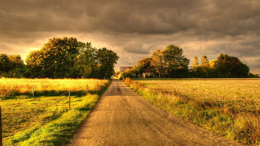 Golden Country Road Wallpaper