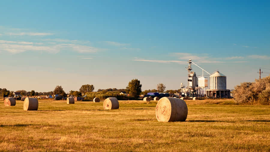 Golden Hay Bales On Farmland Wallpaper