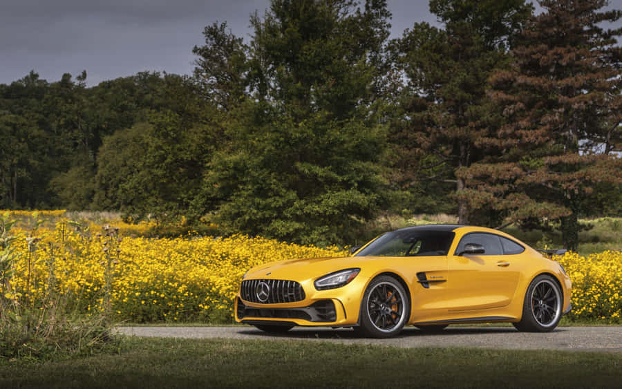 Golden Mercedes Amg Gt Wallpaper