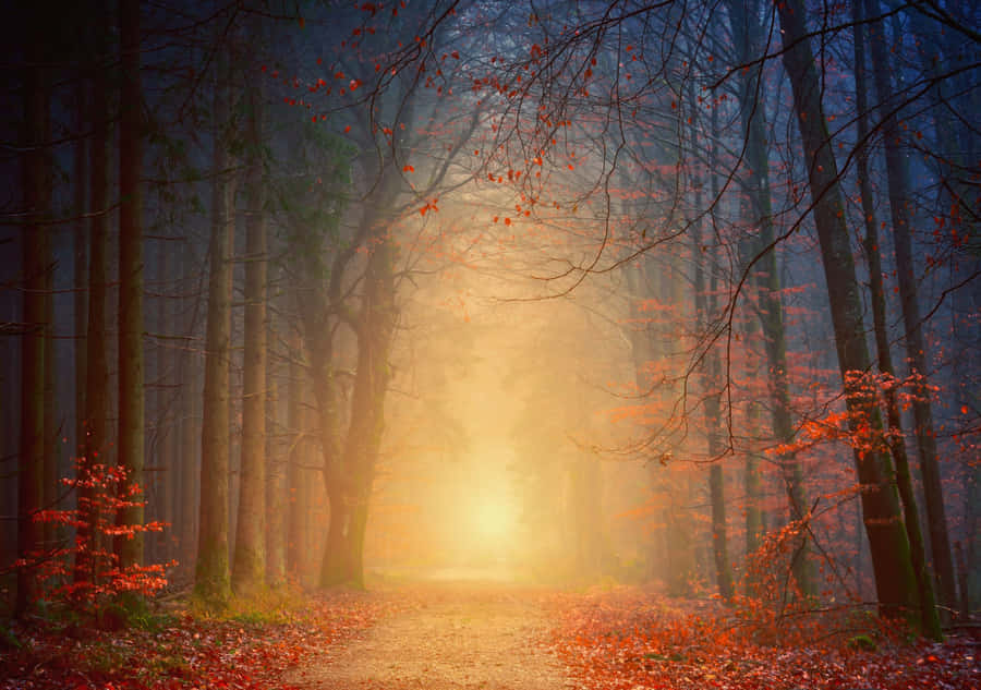 Golden Mountain Peaks At Sunrise Wallpaper