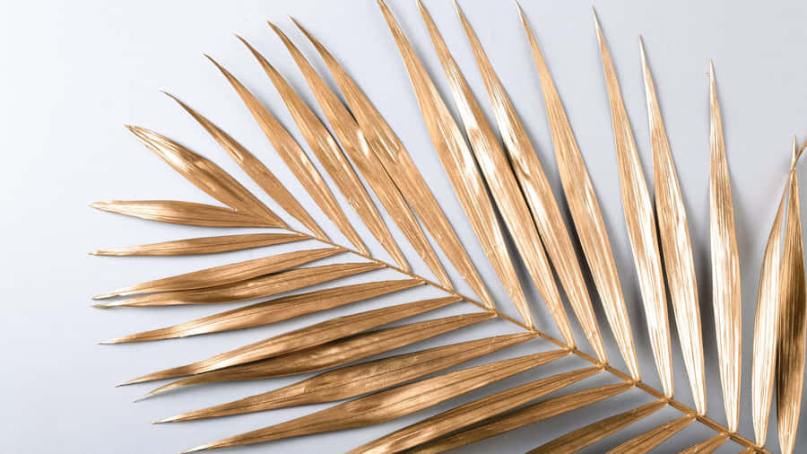 Golden Palm Leaf Closeup Wallpaper