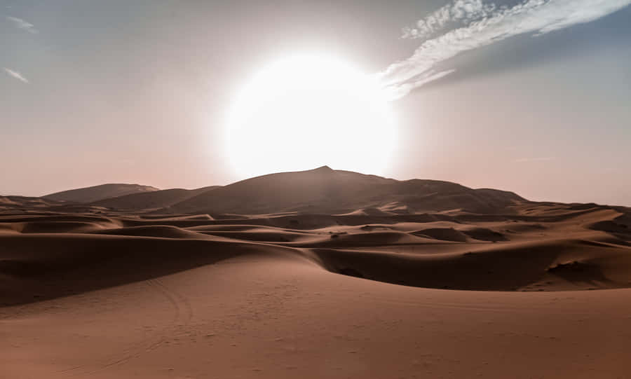 Golden Sand Dunes Reflecting The Warm Sunlight Wallpaper