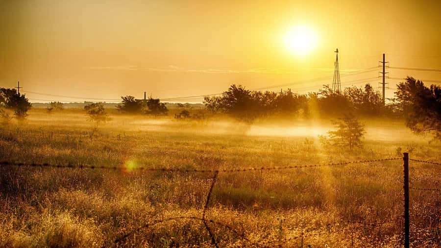 Golden Sunrise Over Misty Fields Wallpaper