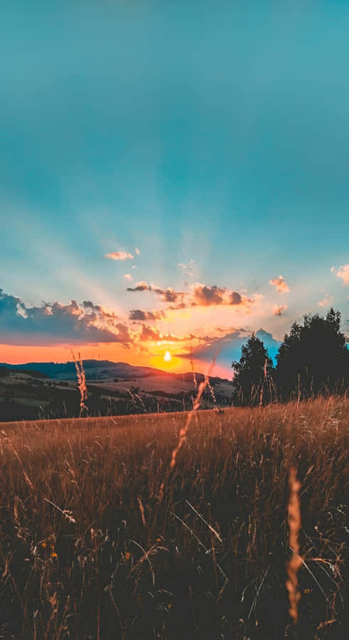 Golden Sunset Over Country Fields Wallpaper