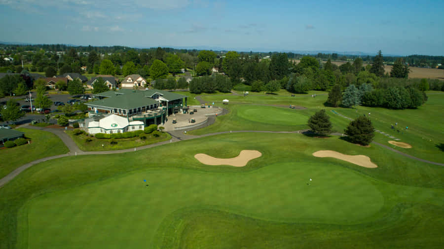 Golf Green Bliss Wallpaper