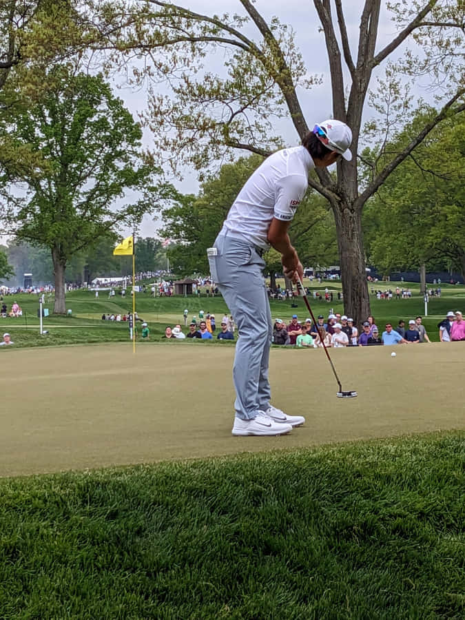 Golfer Focused Putting Green Wallpaper