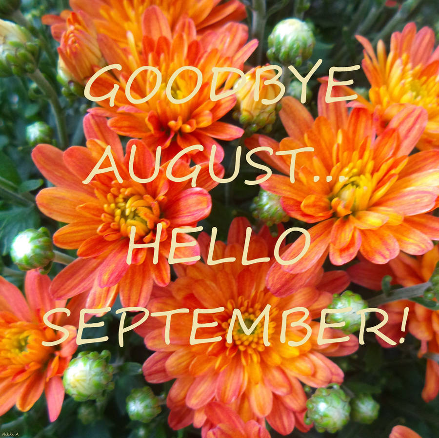 Goodbye August, Hello September! Wallpaper