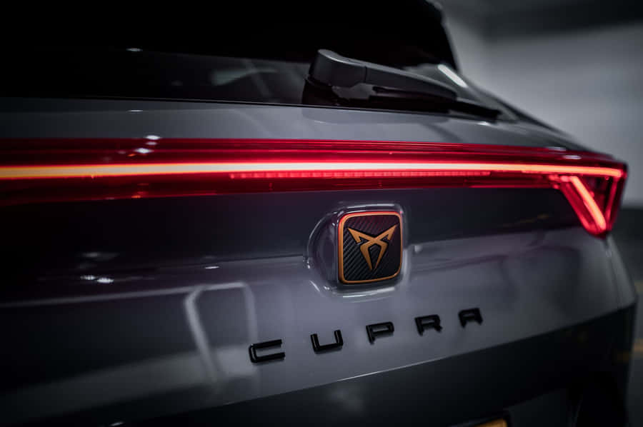 Gorgeous Misty Forest Wallpaper