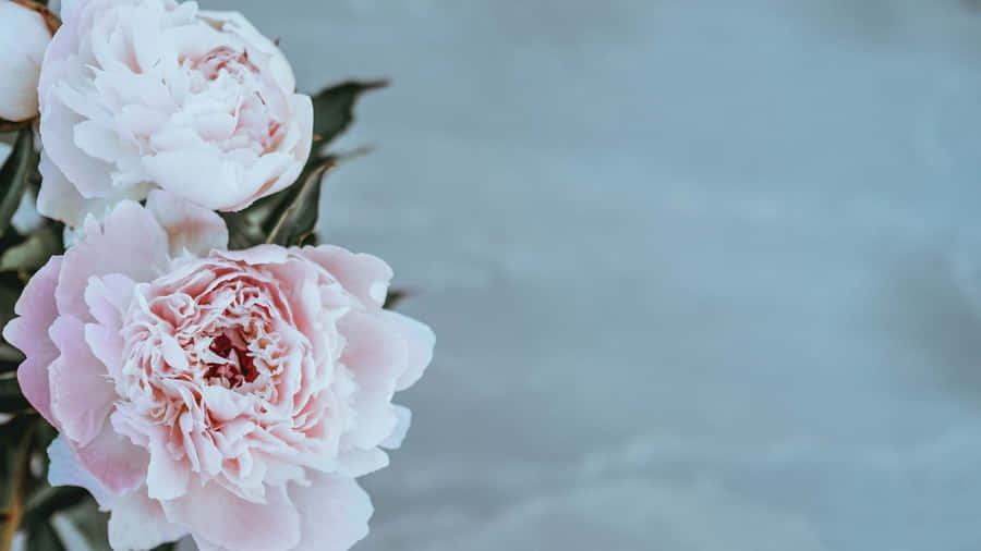 Gorgeous Wedding Flowers Arrangement Wallpaper