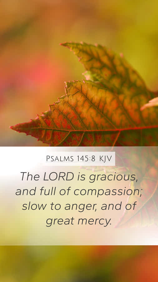 Gracious Proverbs Wallpaper