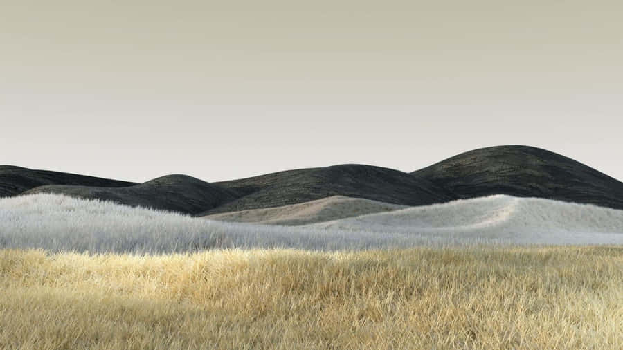 Grassfield Laptop 1366 X 768 Wallpaper